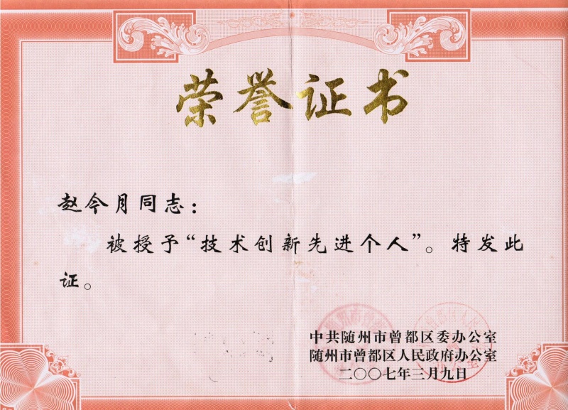 創(chuàng)新個(gè)人獎(jiǎng)_副本.jpg