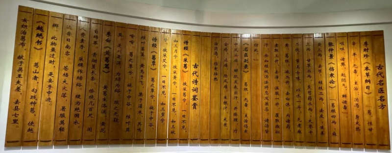 葛根粉的藥用古籍.jpg