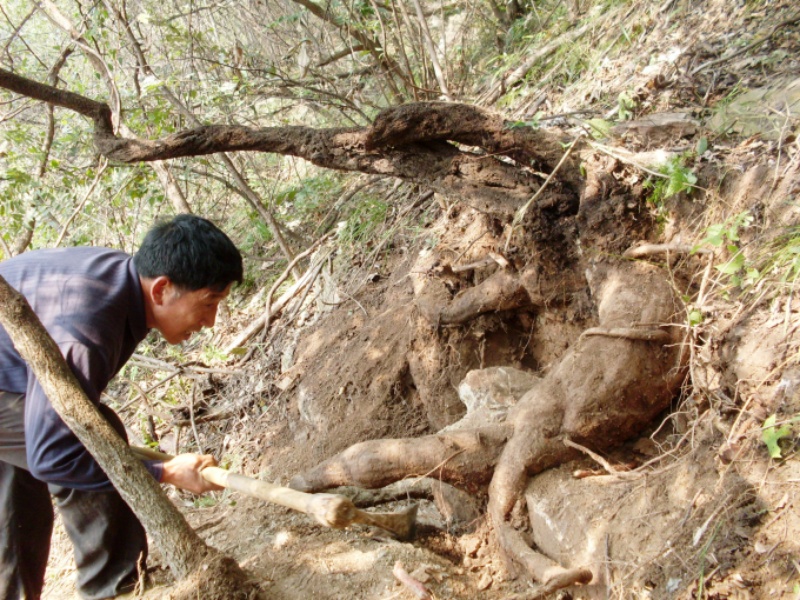 微信圖片_20251208095840_16_2508.jpg