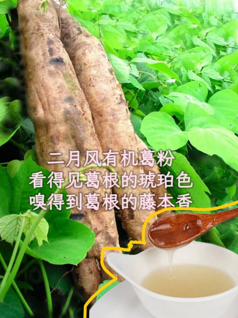 二月風(fēng)有機(jī)葛粉，看得見葛根的琥珀色，嗅得到葛根的藤本香_800.jpg