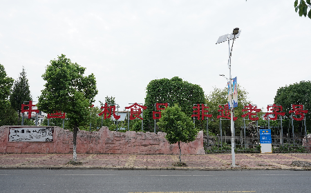 當(dāng)定制葛粉時(shí)，我們真正在選擇什么？